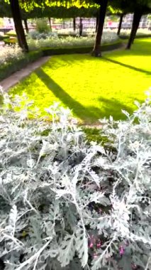 Nuremberg 'deki bahçeler. Almanya 'nın Nuremberg Şatosu' nun kalesindeki kalenin muhteşem manzarası..