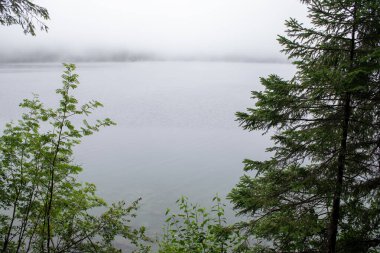 Gölde sisli bir sabah. Eibsee Gölü ve Zugspitze Dağı, Almanya, Avrupa. 