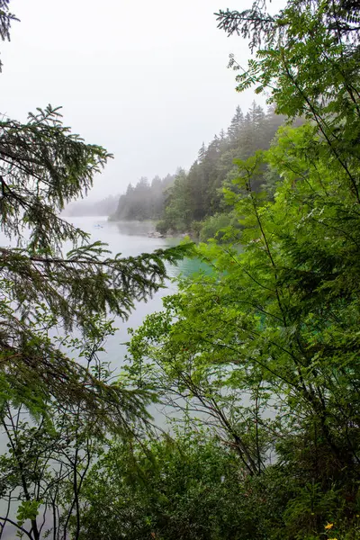 Gölde sisli bir sabah. Eibsee Gölü ve Zugspitze Dağı, Almanya, Avrupa. 
