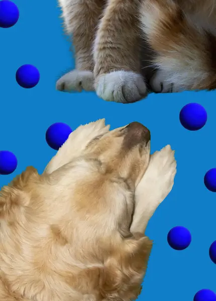 Bir veteriner kliniği, eczane ve dükkan için kedi ve köpekle birlikte yaratıcı bir tasarım..