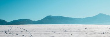 Kar Dağları. Almanya 'da karla kaplı manzara ve her yer yemyeşil.