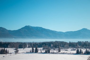Kar Dağları. Almanya 'da karla kaplı manzara ve her yer yemyeşil.