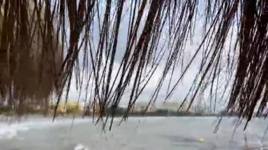 Okyanusun Bulutlu Bir Günü 'nde Thatched Çatı ile Huzurlu Sahil manzarasının tadını çıkarıyorum