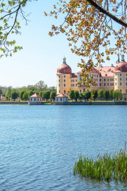 Moritzburg Kalesi, Saksonya, Almanya. Barok Moritzburg Kalesi bir gölün kenarında duruyor..
