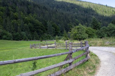 Kırsal ahşap çitlerle çevrili dolambaçlı bir çakıl yolu canlı yeşil bir vadiden geçiyor. Bereketli ağaçlar ve dağlar berrak mavi gökyüzünün altında dingin bir zemin sağlar..