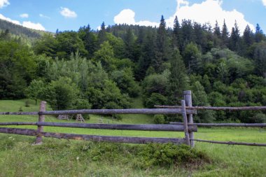 Parlak yeşil ağaçlar ve berrak mavi bir gökyüzünün altında orman yamaçlarıyla çevrili, kırsal ahşap çitleri olan sakin bir çayır..