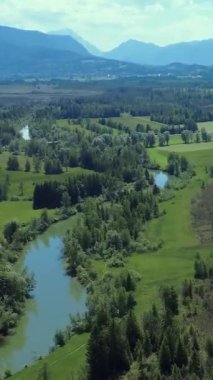 Güneşli bir günde, Bereketli Yeşil Manzaralar ve Dağlık Bölgedeki Sarmal Nehir Nefes Kesen Hava Manzarası