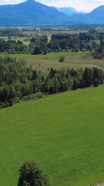 Açık Güneşli bir günde Kırsal Bölgede Geniş Yeşil Manzara Doğanın Güzelliğini ve Huzurunu Gösteriyor