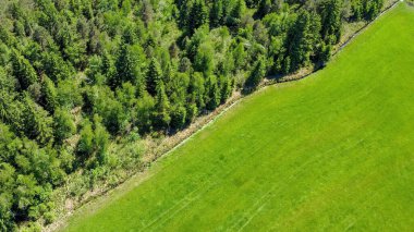 Hava görüntüsü, sık bir ormanla çevrili yemyeşil bir alan ortaya çıkarıyor. Manzaranın canlı renkleri parlak güneş ışığı altında parlıyor, sakin kırsal bir ortamda doğanın güzelliğini gösteriyor..