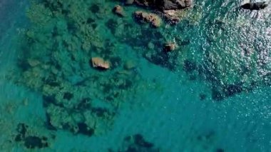 Güneşli bir günde Tropik Plajda Canlı Mercan Resifi Ekosisteminde Sualtı Keşfi