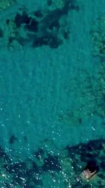 Kristal berrak suları ve canlı deniz yaşamını Tropikal bir varış noktasında keşfetmek