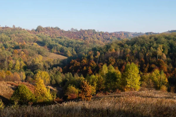 Холмы Заросшие Красочными Лесами Осенью Освещенные Вечерним Солнцем Осенний Пейзаж — стоковое фото