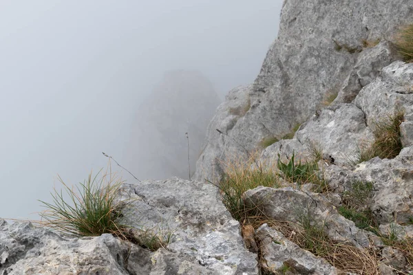 Grass bokor cliff edge against foggy abyss, vegetation on rock