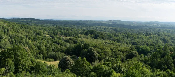 Сельская Панорама Пышным Лесом Разбросанными Домами Холмистая Местность — стоковое фото