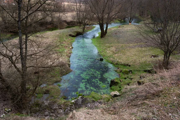 Krupa na Vrbasu 'daki Krupa Nehri' nin kaynağı, temiz su.