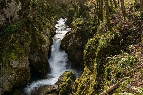 巴尼亚卢卡附近的Svrakava河 峡谷里有苔藓岩的瀑布 免版税图库图片