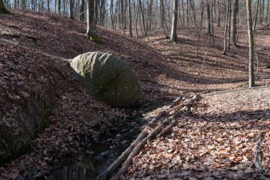 Banja Luka yakınlarındaki Slatina ormanında taş küre.