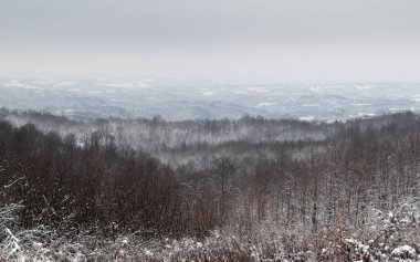 Soğuk kış günlerinde kar ve donla kaplı ormanlı tepe manzarası