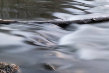 Deredeki ahşap kütük, uzun vadede pürüzsüz su