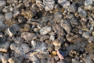 Deniz suyu plaj taşlarını kaplar, suda kabarcıklar