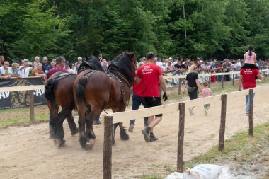 Sahipleri, kütük çekme etkinliğinde atlarını seyircilere gösteriyor