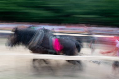 Atlarla kütük çekmek, at gücü gösterisi.
