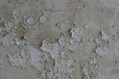 Eski duvarda soyulmuş boya, terk edilmiş binada yıpranmış boya.