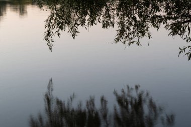 Söğüt dalı alacakaranlıkta su yüzeyine yansıyor