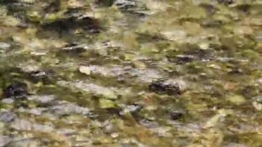 Dağ deresinde temiz su akışı yakın, soyut manzara