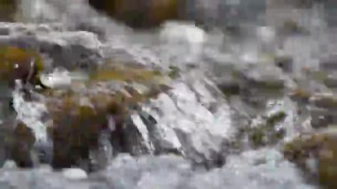 Dağ deresindeki taşların üzerinden akan su, saf suyla birlikte sığ ve hızlı akan derenin ayrıntıları.