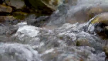 Taşlı yataklı dereden ayrıntı Dağda su birikintisi