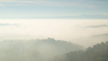 Ormanlarla kaplanmış tepe sislerle kaplıydı. Büyük bir sis tabakası.