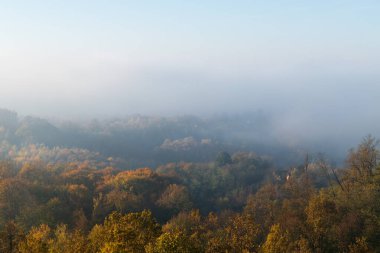 Kırsalda sisli bir sonbahar sabahı, sonbahar renkleriyle dolu bir orman.