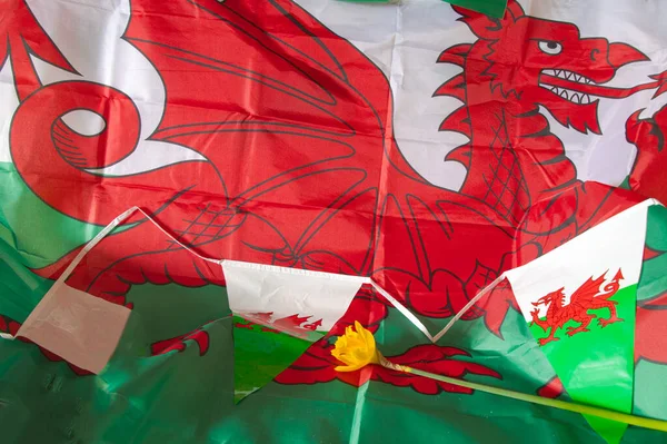 Welsh flag  and  daffodils  celebrating  St  davids  day  Wales