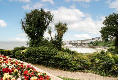 Tenby, Pembrokeshire, Galler - 25 Ocak 2025: Güzel renkli liman binalarıyla Tenby limanına bakıyorum. Blue sk Kuzey Sahili Limanı 