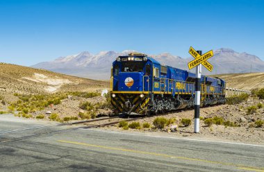 Muhteşem mavi tren, Salinas Y Aguada Blanca Ulusal Rezervi, Arequipa Bölgesi, Peru 'nun güzel ve güzel manzarasında karşıdan karşıya geçiyor.