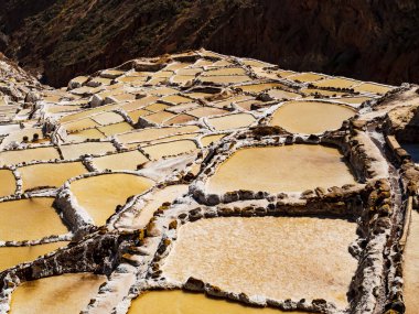 Maras 'ın renkli tuz göletleri kutsal İnka vadisinde, Cusco bölgesinde, Peru