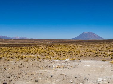Impressive view of volcano Misti as seen from the highlands of Salinas Y Aguada Blanca National Reserve, Arequipa region, Peru