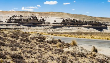 Salinas y Aguada Blanca Ulusal Rezervi, Arequipa ve Moquegua bölgelerinde yer alan ve ana amaçları yerel bitki örtüsü, fauna ve peyzaj oluşumlarını korumak olan koruma alanıdır.