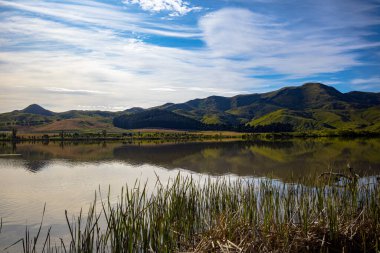 Elterwater Gölü, ya da Te Ruakanakana, Marlborough Yeni Zelanda. Bir Ekim sabahı bir izleme platformundan çekilmiş..