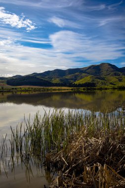 Elterwater Gölü, ya da Te Ruakanakana, Marlborough Yeni Zelanda. Bir Ekim sabahı bir izleme platformundan çekilmiş..
