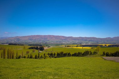 Geraldine Fairlie gözcüsünden Canturbury Ovası 'na bakıyorum. Devlet Otoyolu 79, Yeni Zelanda