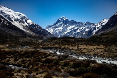 Hooker Valley yürüyüşü, Cook Ulusal Parkı, Yeni Zelanda. İlkbahar yürüyüşü.