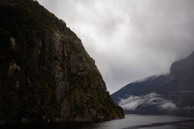 Milford Sound, Fiordland Yeni Zelanda 'da sisli bir gün