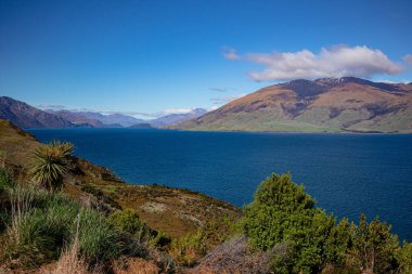 Lake Wanaka, in New Zealands South Island, road triping