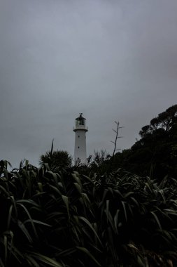 Cape Egmont Deniz Feneri, Taranaki, Yeni Zelanda. Kara yağmurlu bir günde vuruldu