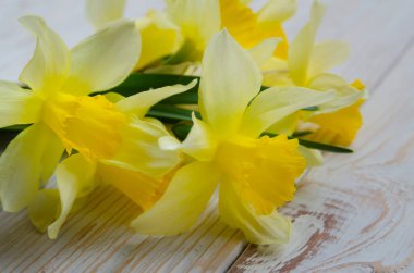 sarı buket nergis çiçekleri beyaz ahşap arka planda yeşil çizgili.