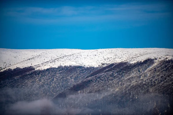 Зимовий Фон Снігу Морозів Вільним Простором Вашої Прикраси — стокове фото