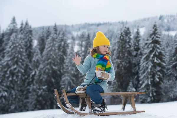 少年は そりに乗って楽しむそり 子供がそりに座っている 雪と遊ぶ子供たち — ストック写真