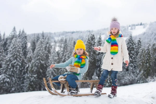 面白い男の子と女の子は冬にそりで楽しんでいます 雪の中で遊んでいるかわいい子供たち 子供のための冬の活動 冬の子供たち — ストック写真